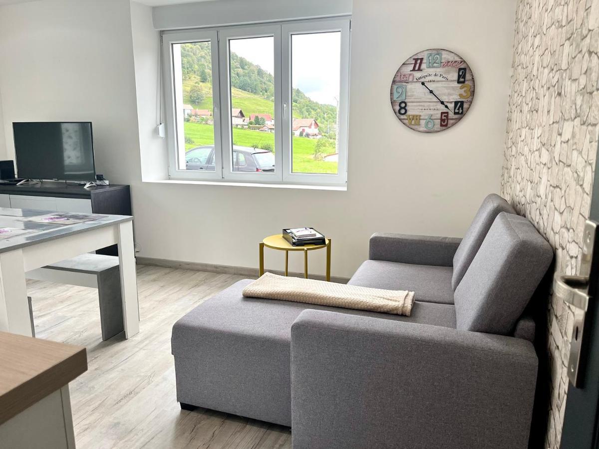 Cocon Lumineux Pres Des Pistes Apartment La Bresse Exterior photo